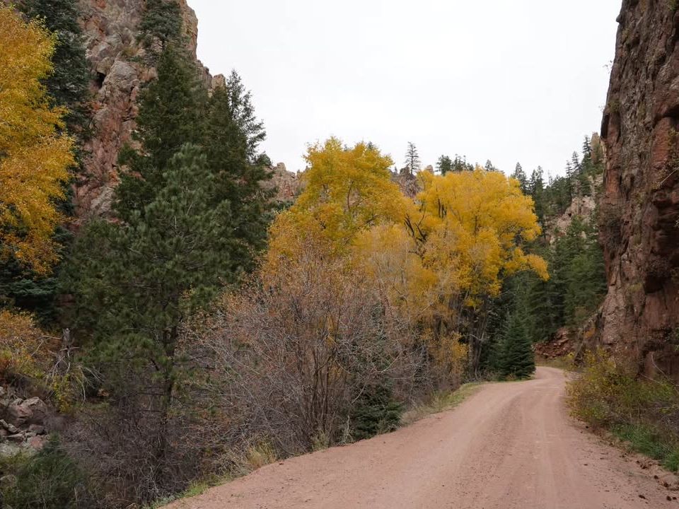 Overlooking a vibrant mountain town, this scenic view captures steep forested slopes and rugged peaks. The wooden bench at the overlook invites visitors to pause and take in the beauty of Telluride’s alpine valley.