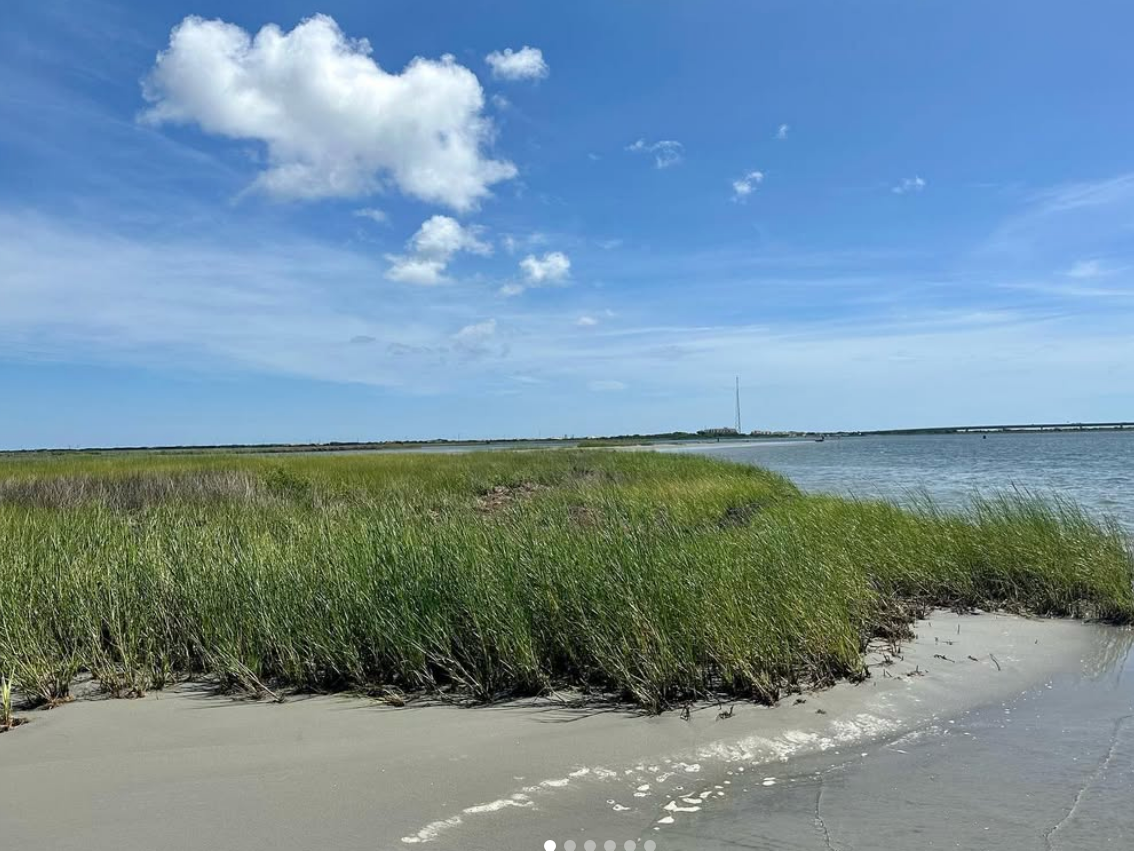 tall grass with beach and water surrounding it