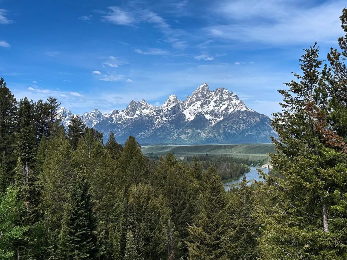 A stunning view of the Snake River winding through a lush forest with the snow-covered Grand Teton mountains towering in the distance. This overlook is a favorite for photographers wanting to capture the beauty of Wyoming’s landscap