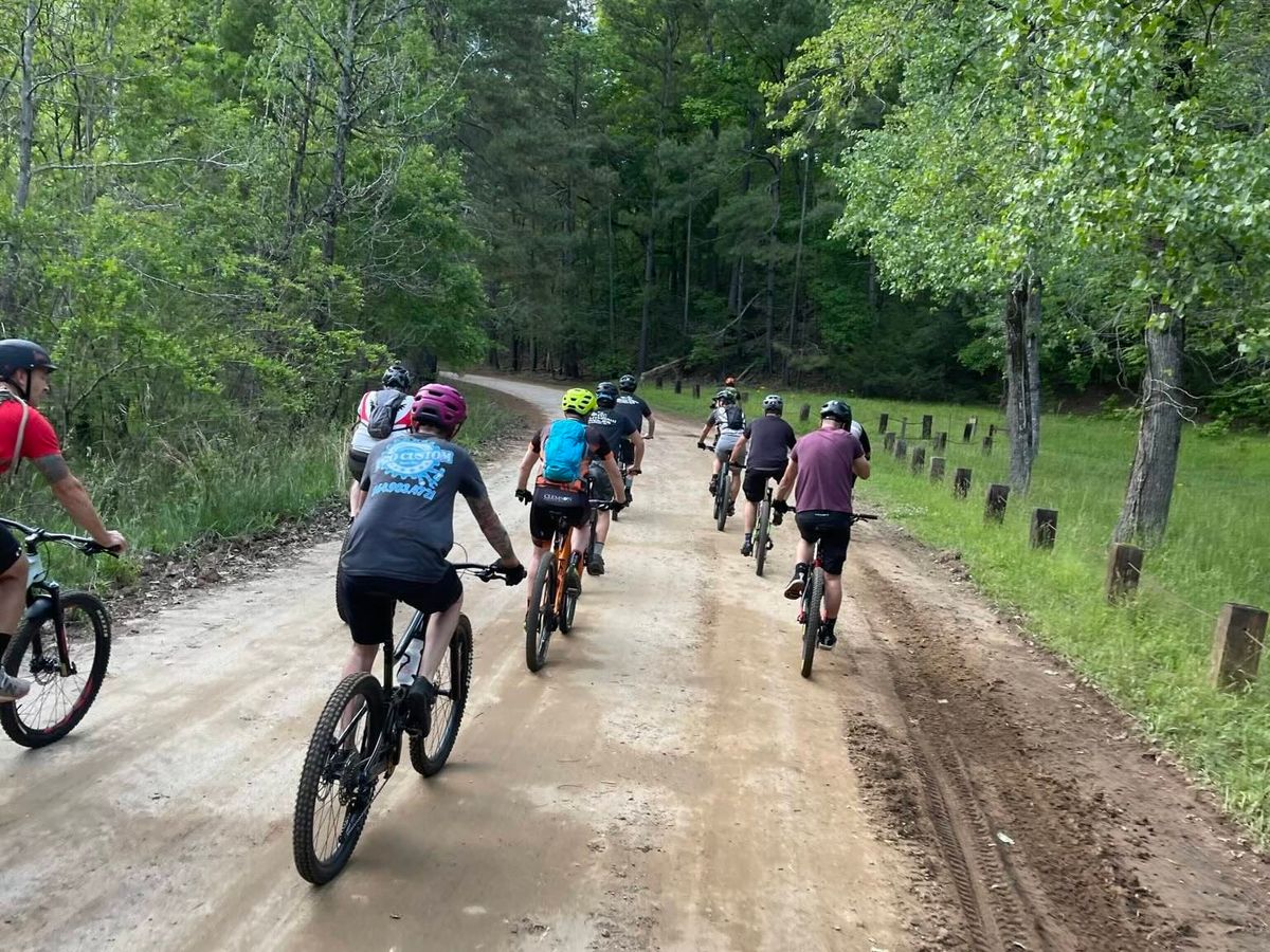 A group of cyclists pedals down a dirt path surrounded by tall trees in the Clemson Experimental Forest. This trail is great for both casual riders and outdoor lovers.