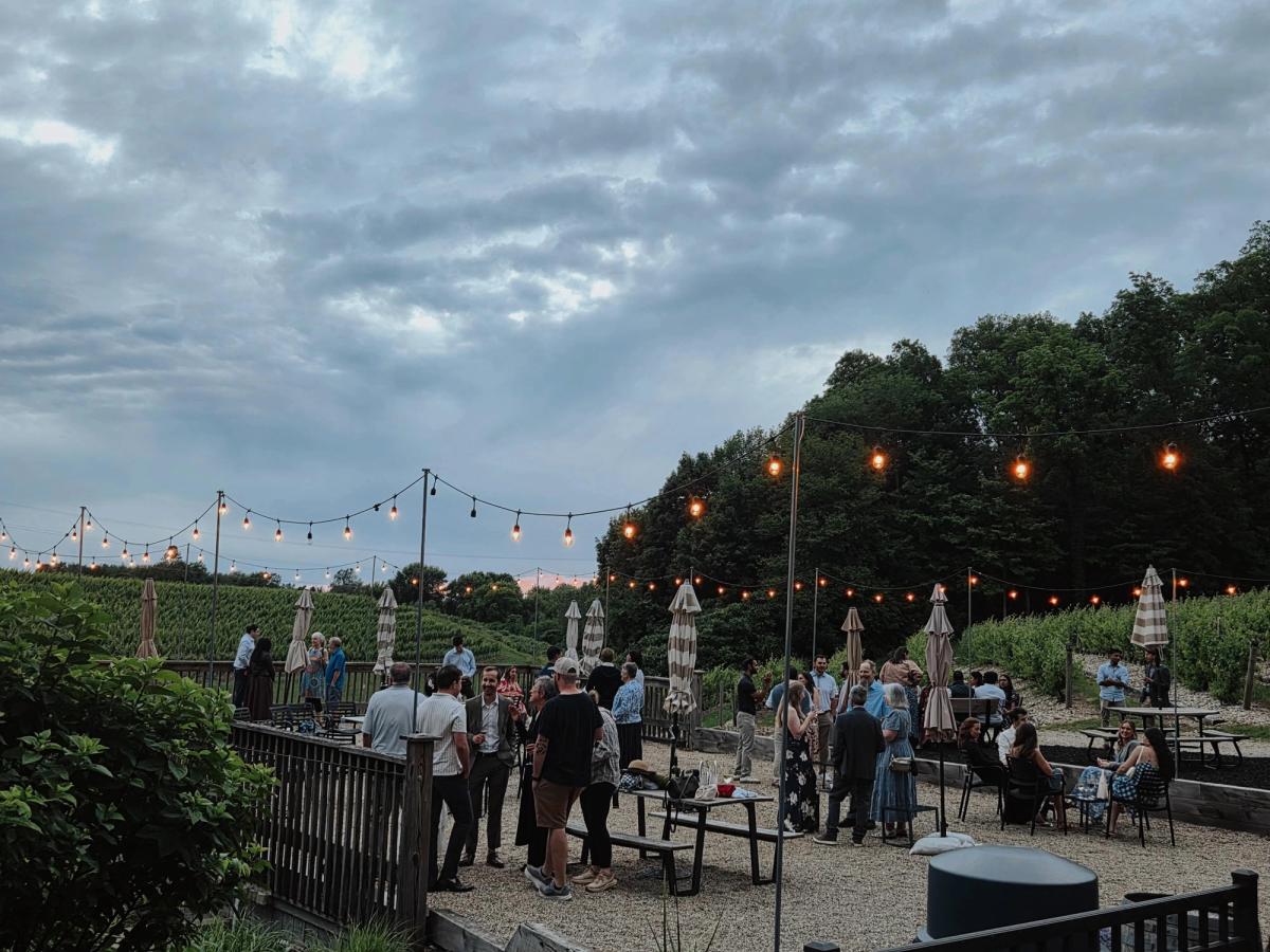 Guests gather on a gravel patio strung with glowing string lights at Dablon Vineyards during the blue hour, with rows of grapevines stretching into the distance. Striped umbrellas and casual seating create a warm, festive evening atmosphere beneath a cloudy sky.