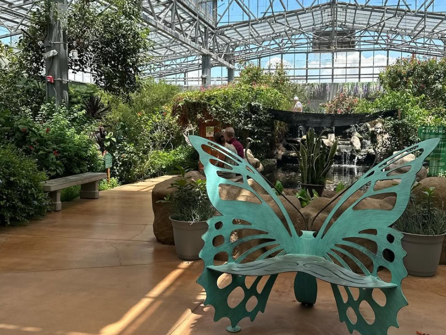 Green butterfly bench in greenhouse with butterflies and bushes everywhere