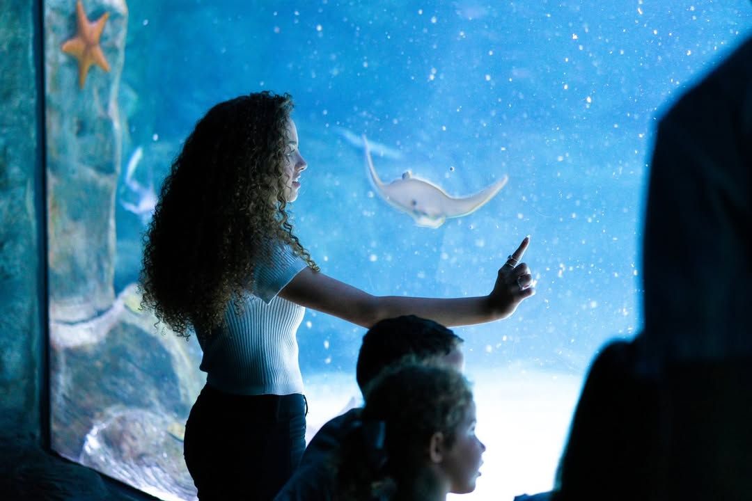 A visitor points toward a stingray inside a glowing aquarium exhibit at Ripley’s Myrtle Beach. The scene highlights the wonder of exploring marine life up close, making it a popular family attraction in Myrtle Beach.