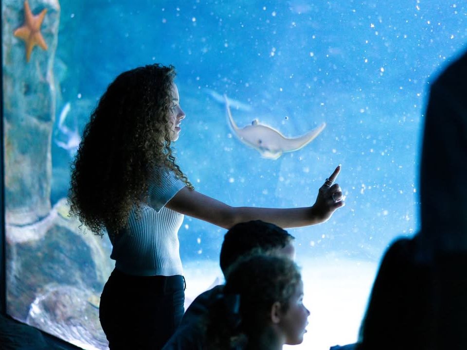 A visitor points toward a stingray inside a glowing aquarium exhibit at Ripley’s Myrtle Beach. The scene highlights the wonder of exploring marine life up close, making it a popular family attraction in Myrtle Beach.