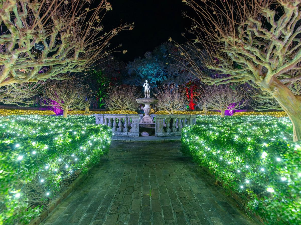 A brick pathway leads through hedges and trees wrapped in twinkling white and colored lights toward a classical stone fountain and statue at night in the Elizabethan Gardens in Manteo. The festive holiday display glows against the dark sk