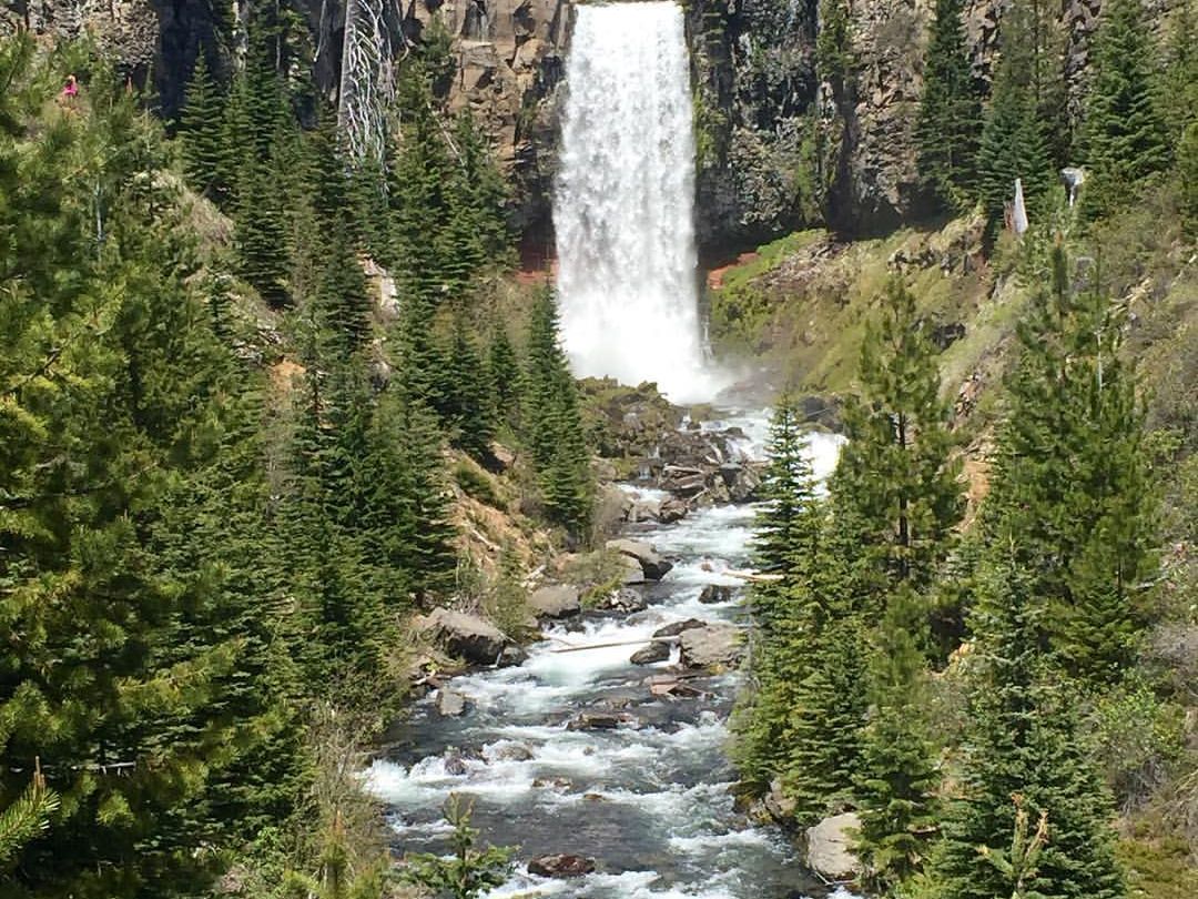 Tumalo Falls cascading powerfully into a rocky river gorge, framed by dense evergreen forest in Central Oregon.