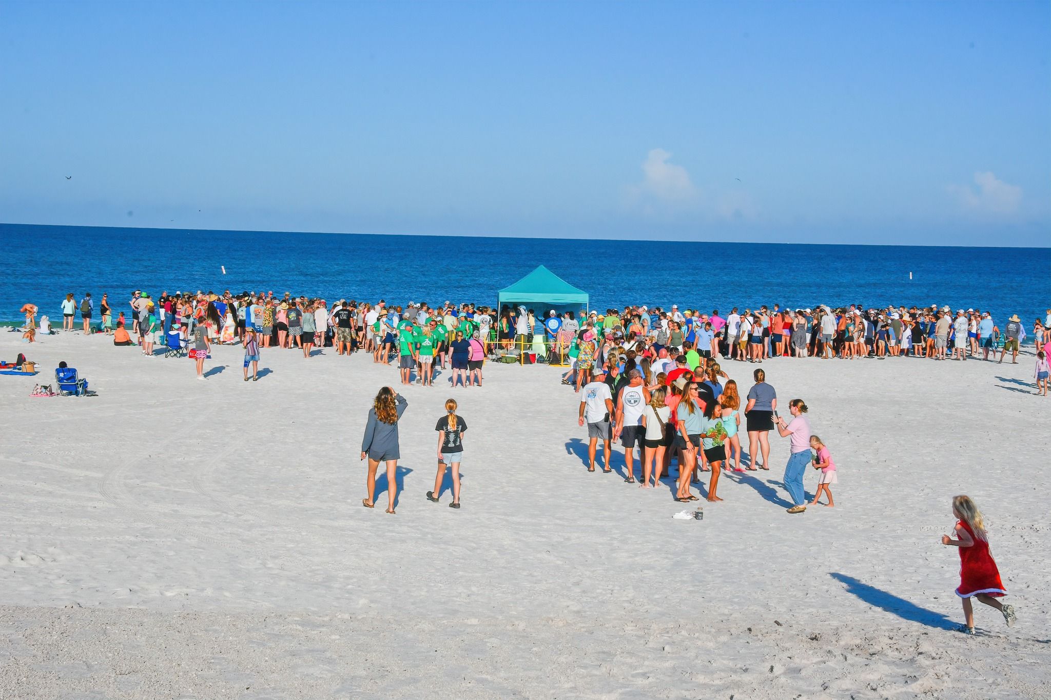 A large group gathers on the beach for a turtle watch ecotourism event along the shoreline. Visitors line up near the water to learn about sea turtles and local conservation efforts. This experience offers a unique way to enjoy the beach while supporting wildlife education.