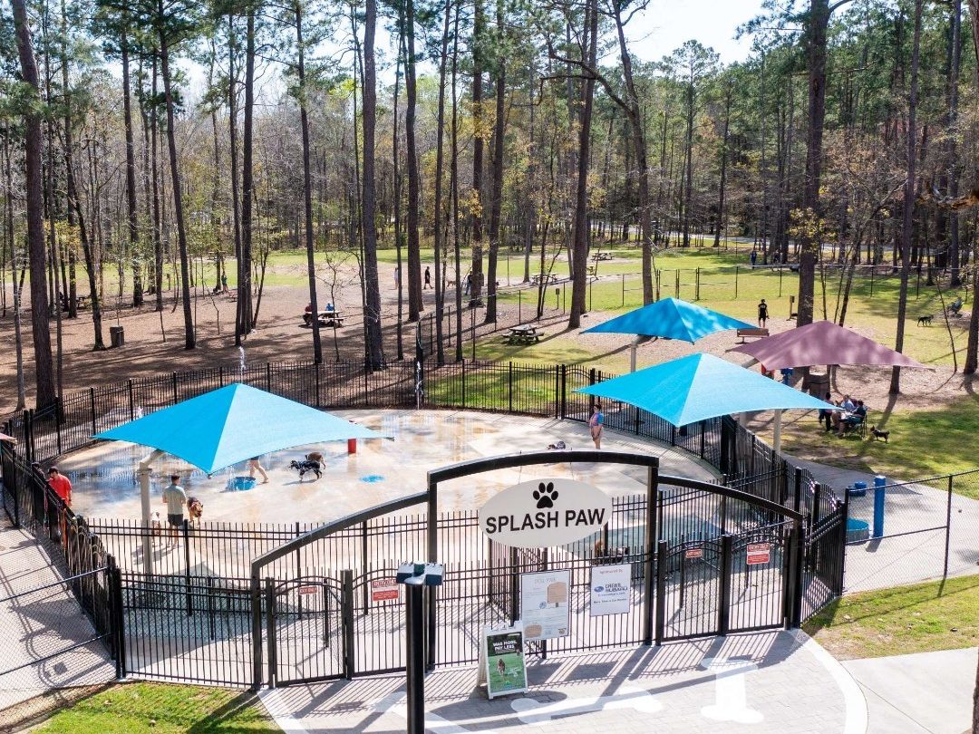 Folly Beach County Park invites guests to unwind with its wide sandy shores, natural dunes, and shaded picnic areas—perfect for a peaceful beach day.