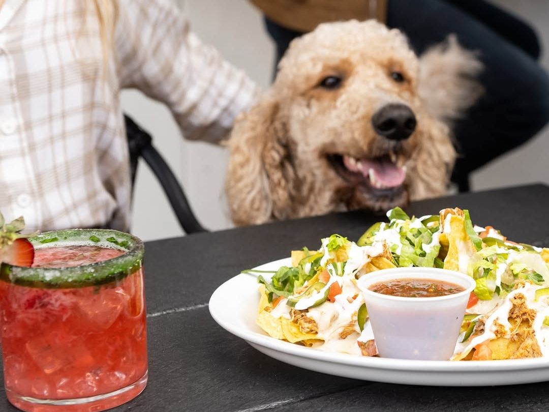 A happy pup joins lunch on the patio with a plate of loaded nachos and a strawberry margarita at Cantina 76. Dog-friendly dining with a relaxed, upbeat vibe.