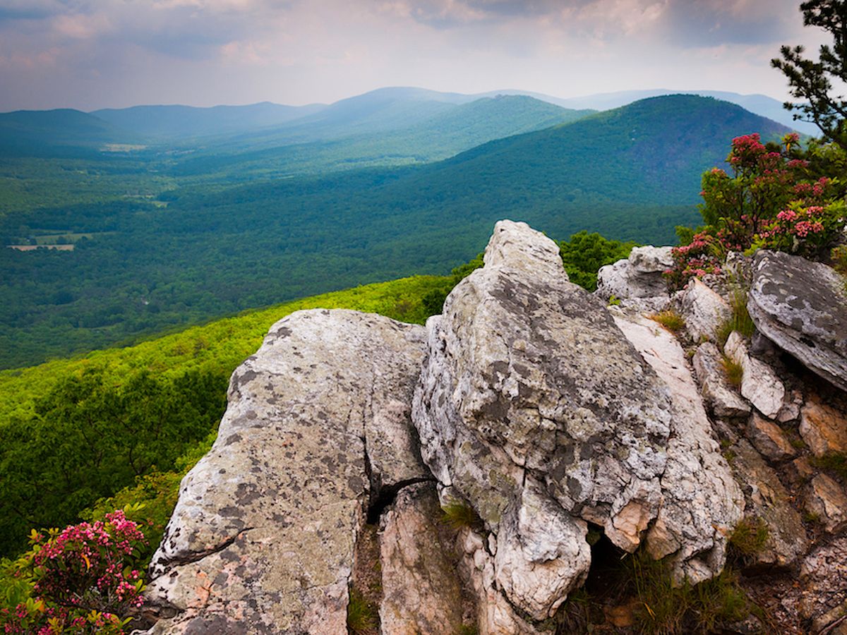 View of Shenandoah Valley From Mountain Top