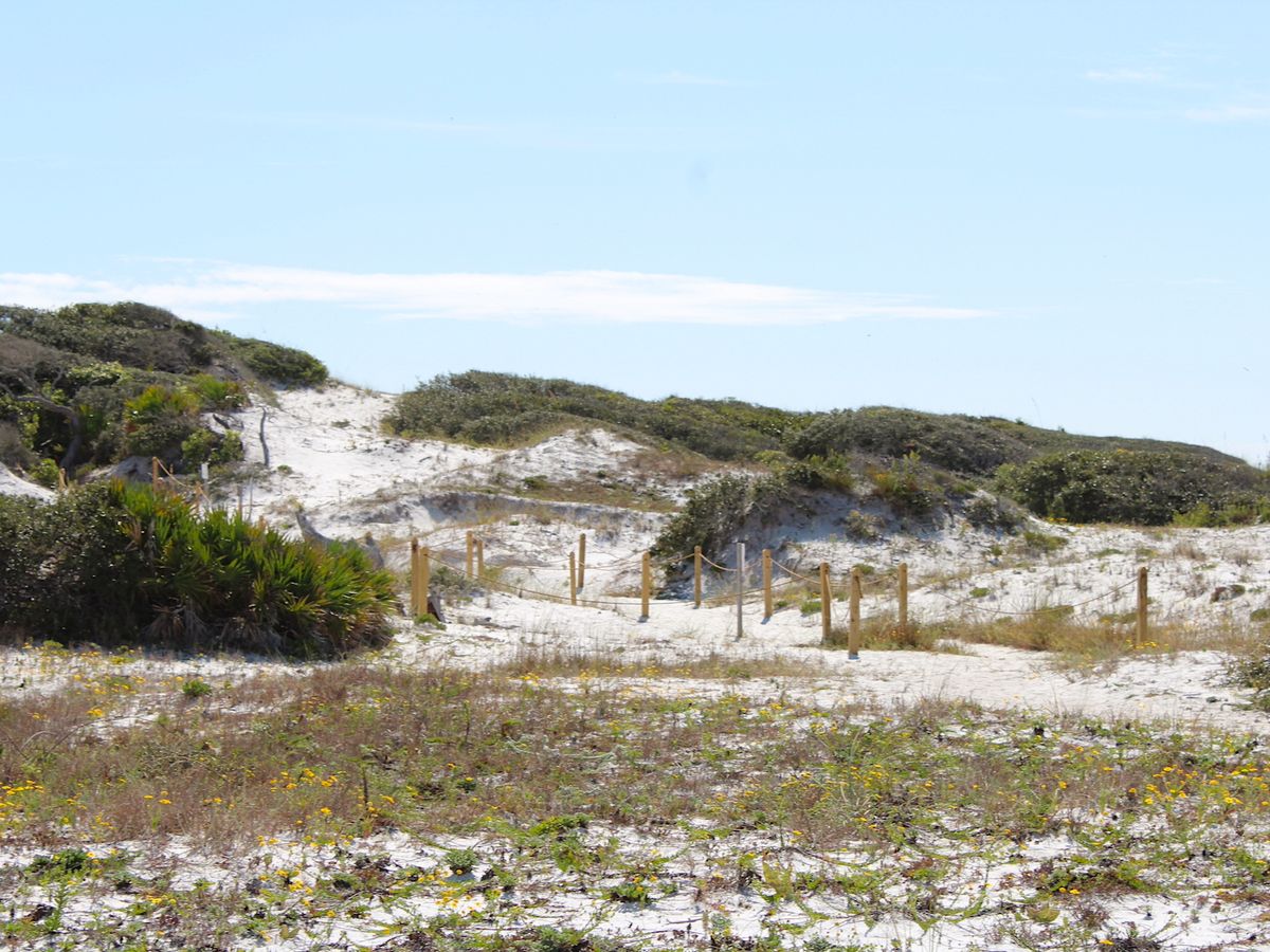 View of Dunes at Grayton Beach State Park
