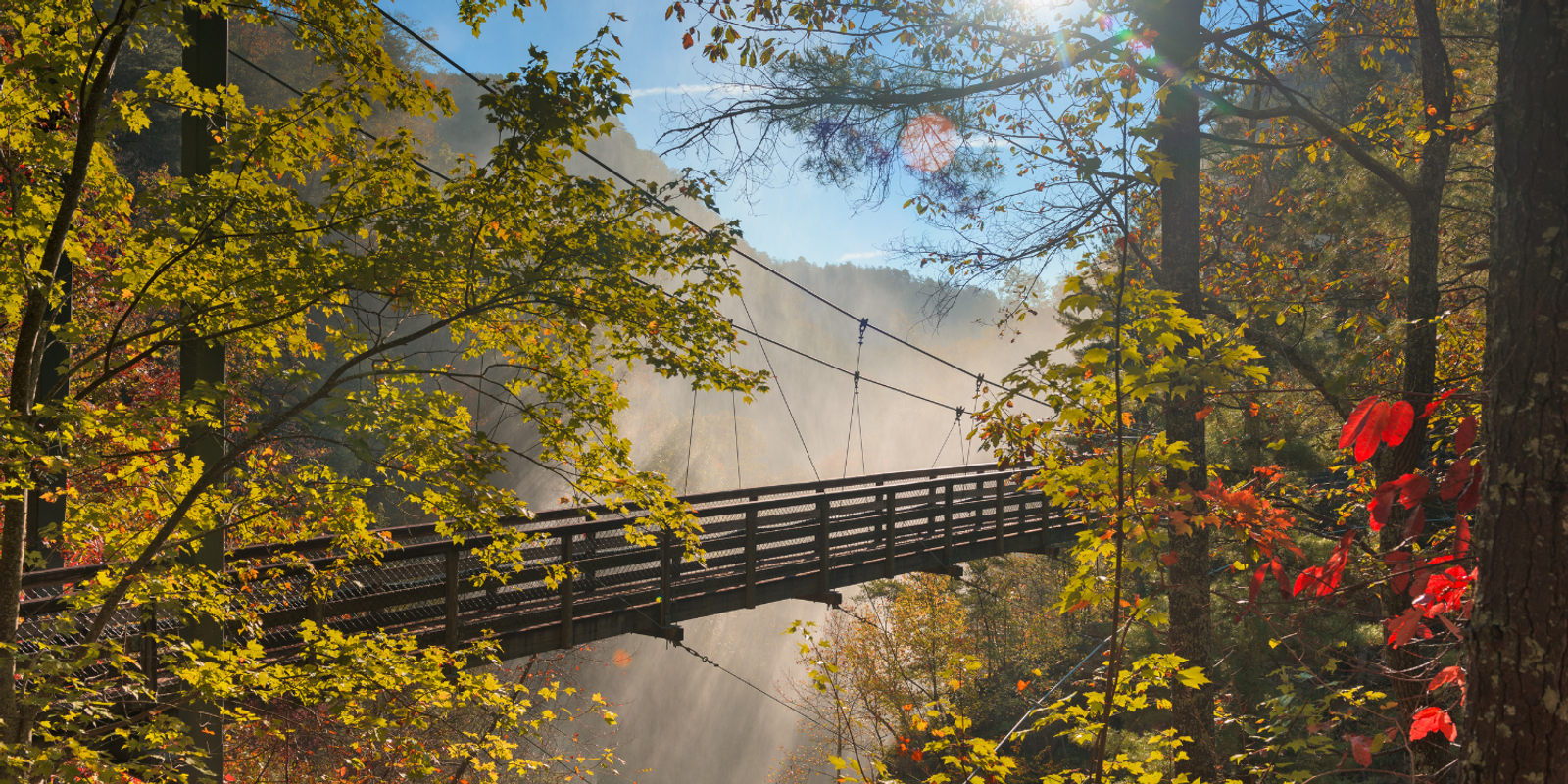 Explore the Peach State: A Guide to The Best Vacation Destinations in Georgia