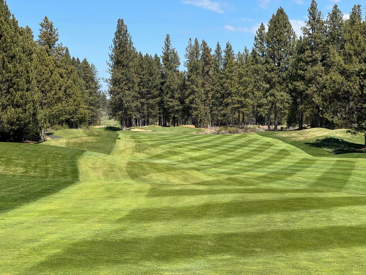Precisely mowed fairway stripes lead toward a sand bunker and green at Widgi Creek Golf Club near Bend, Oregon, set within a cathedral of towering ponderosa pines under a clear blue sky. 