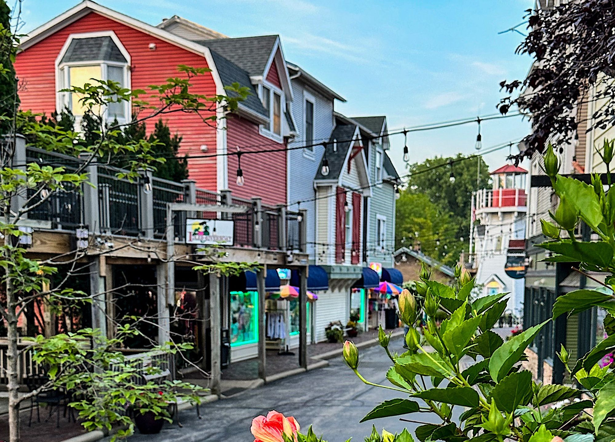 View Through Flowers of A Charming Street in South Haven Michigan