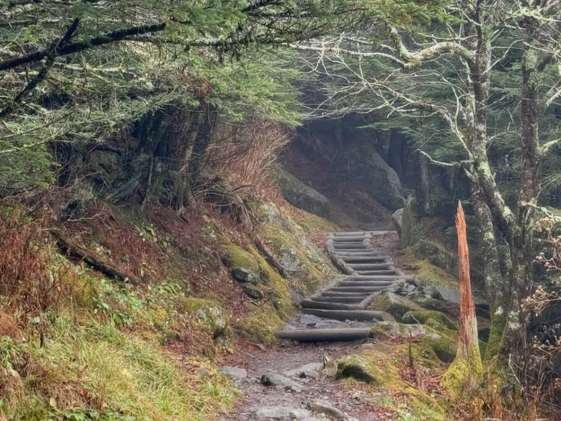 A foggy forest trail in the Great Smoky Mountains featuring a staircase of rustic wooden steps winding uphill through moss-covered rocks and dense evergreen trees.