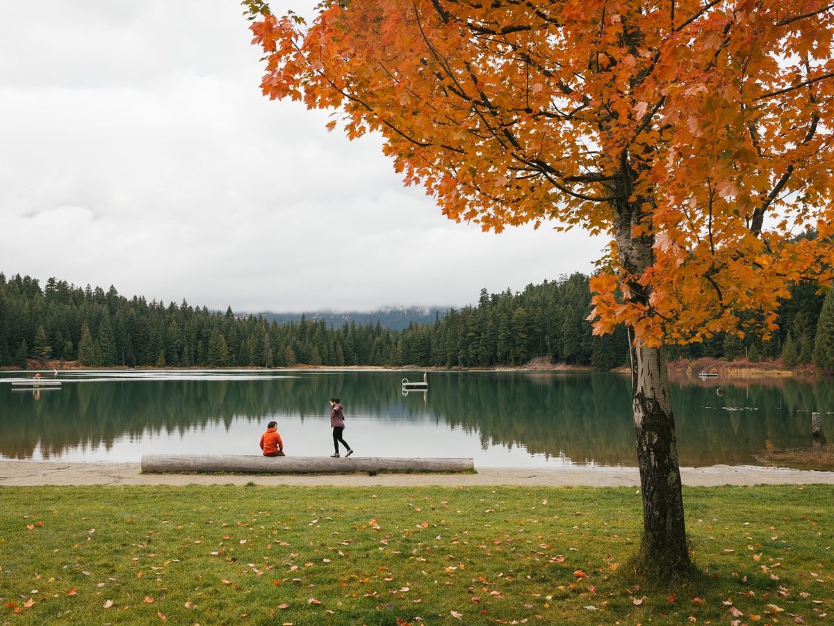 Golden autumn leaves frame a quiet lake with forested mountains in the background. Scenic hiking trails in Whistler lead you through changing seasons and breathtaking views. It’s an ideal place for walking, biking, and enjoying fresh mountain air.