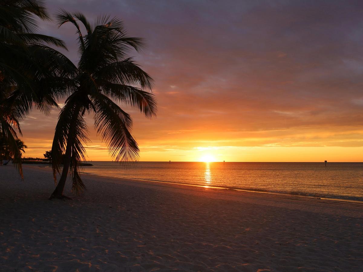 A golden sunset glows over the calm water while a palm tree leans gently toward the shoreline. The warm colors light up the sky and create a peaceful beach scene. It feels like the perfect end to a quiet day in Key West.