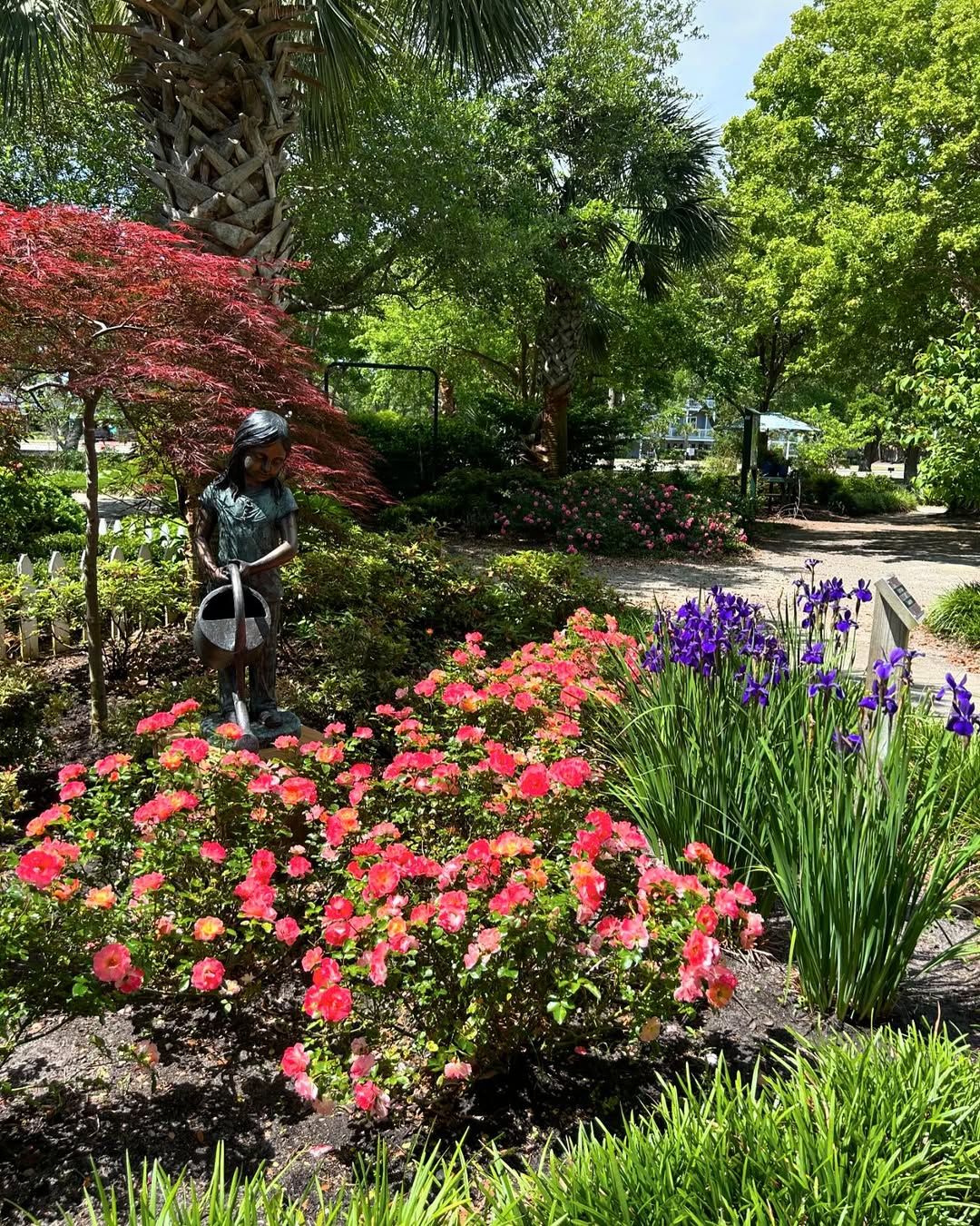 A charming brick pathway leads through a landscaped garden at Airlie Gardens, framed by flowers, benches, and a leafy archway. This peaceful spot is perfect for a relaxing walk while taking in the beauty of the gardens.