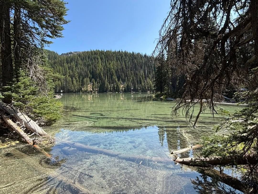 Clear alpine lake in Deschutes National Forest surrounded by lush evergreens, reflecting the bright blue summer sky.