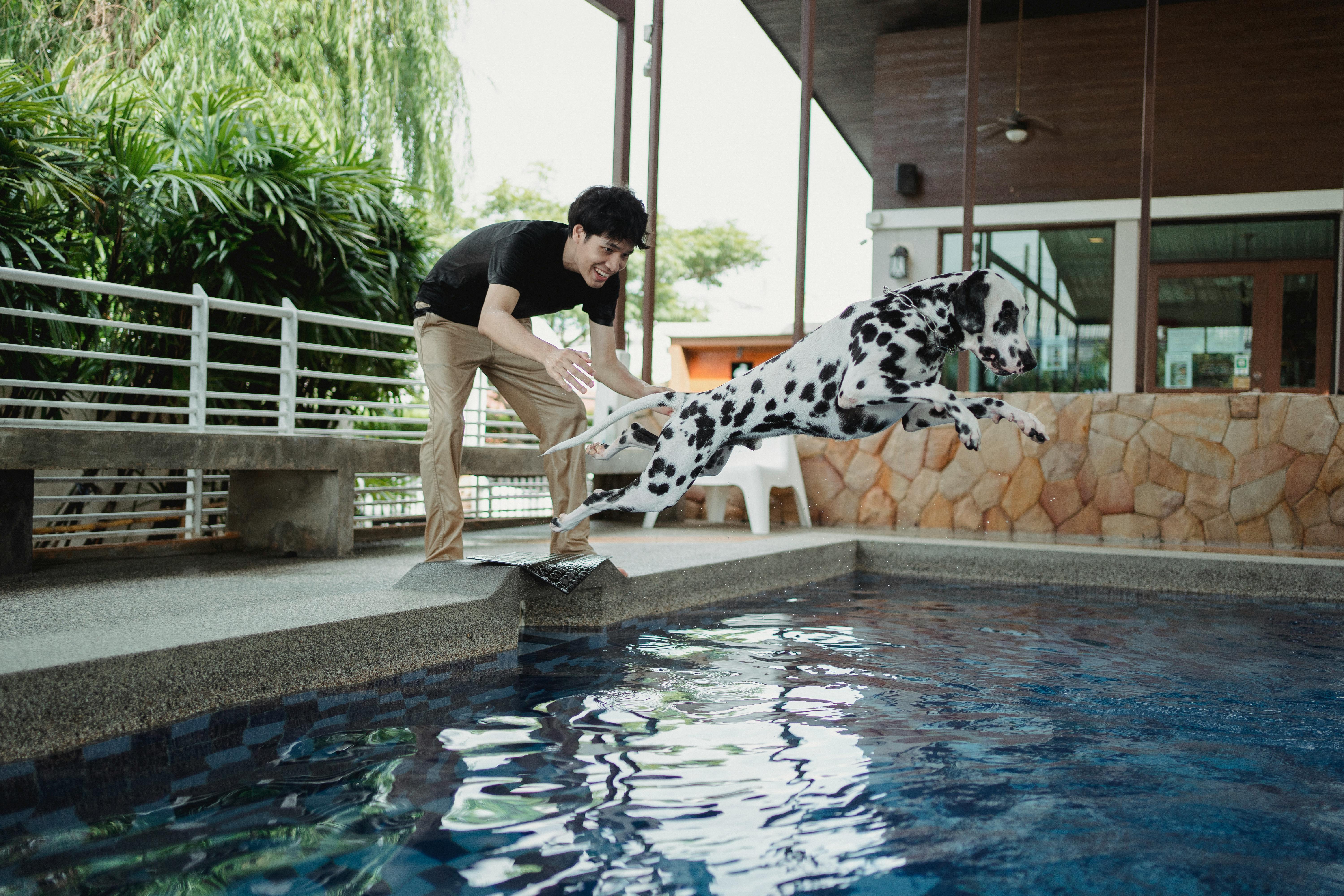 A joyful moment as a Dalmatian leaps into a pool while its owner smiles nearby. The playful scene captures the happiness of pet-friendly vacation rentals where furry friends are welcome.