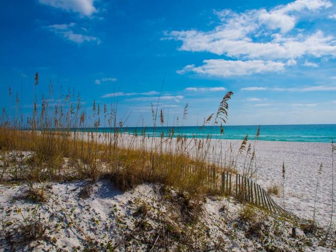 Sea oats sway along the white sandy beach at Perdido Key State Park, with turquoise waters stretching into the horizon. A peaceful spot for swimming, sunbathing, and nature walks.