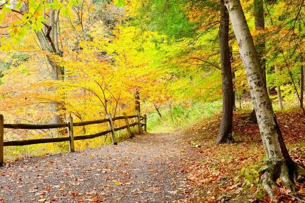 Scenic Fall Getaways: 8 Instagrammable Autumn Travel Destinations