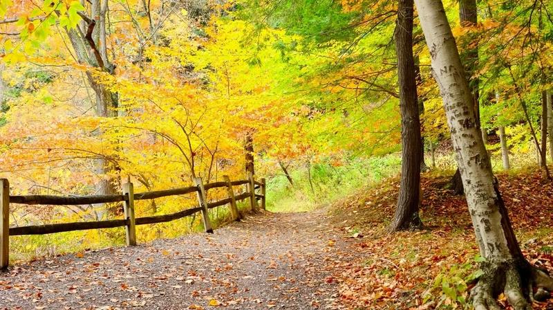 Scenic Fall Getaways: 8 Instagrammable Autumn Travel Destinations
