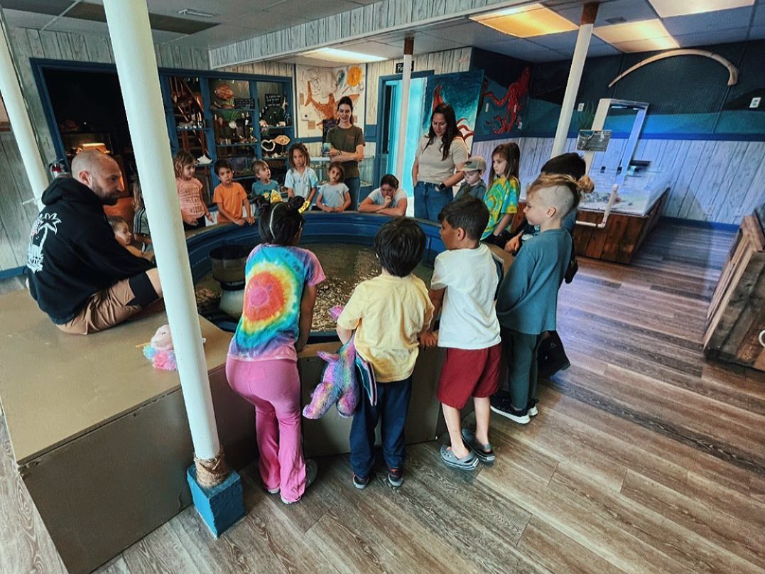Children crowd around a tank in a hands-on learning zone at Topsail Aquarium. This local favorite lets kids explore sea life while having fun indoors.