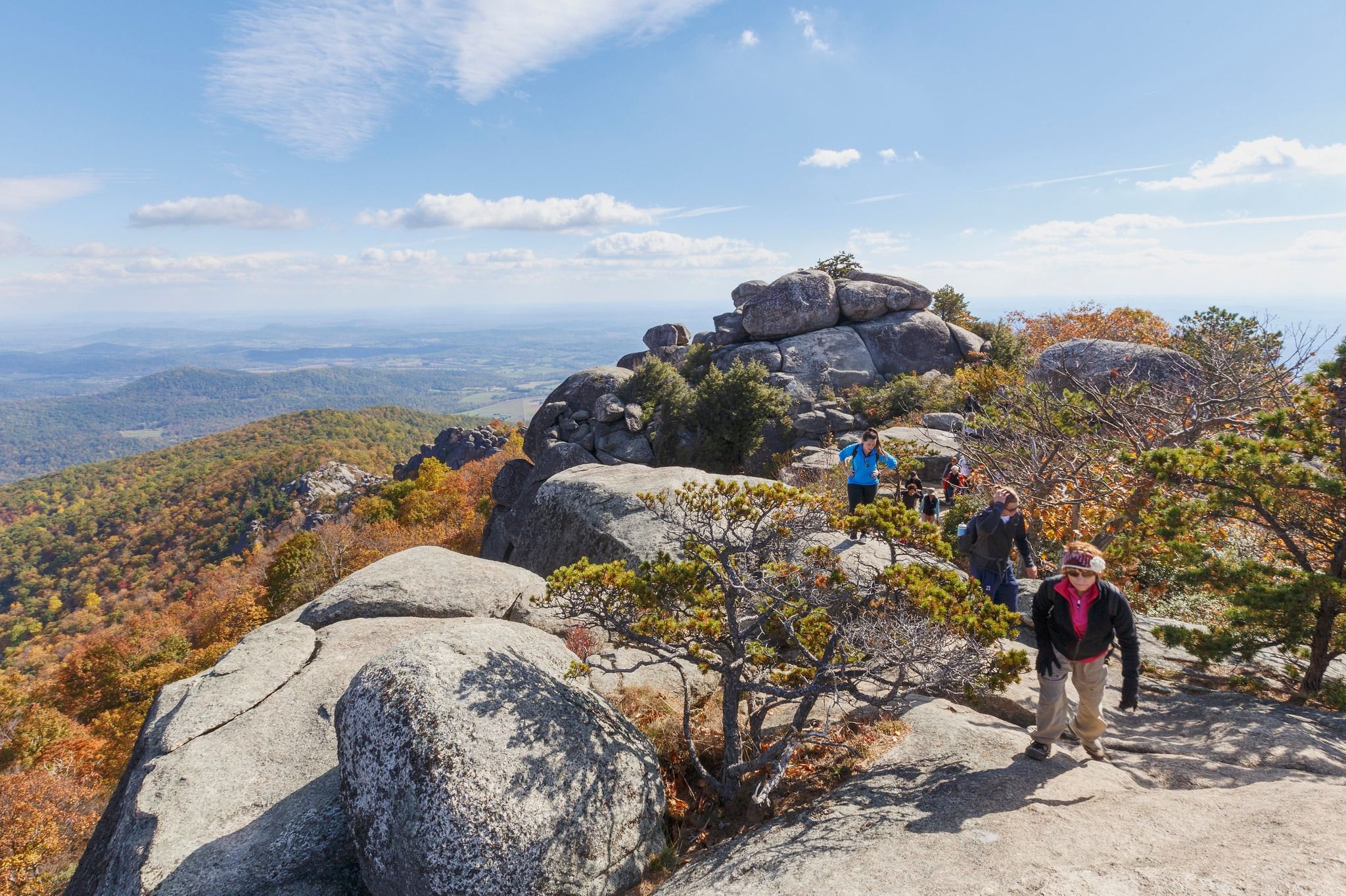 Hikers make their way across granite rock formations near a summit in Shenandoah National Park, with sweeping views of fall foliage and the Shenandoah Valley spreading out far below. Twisted pine trees and rust-colored autumn leaves frame the rocky ridgeline trail.