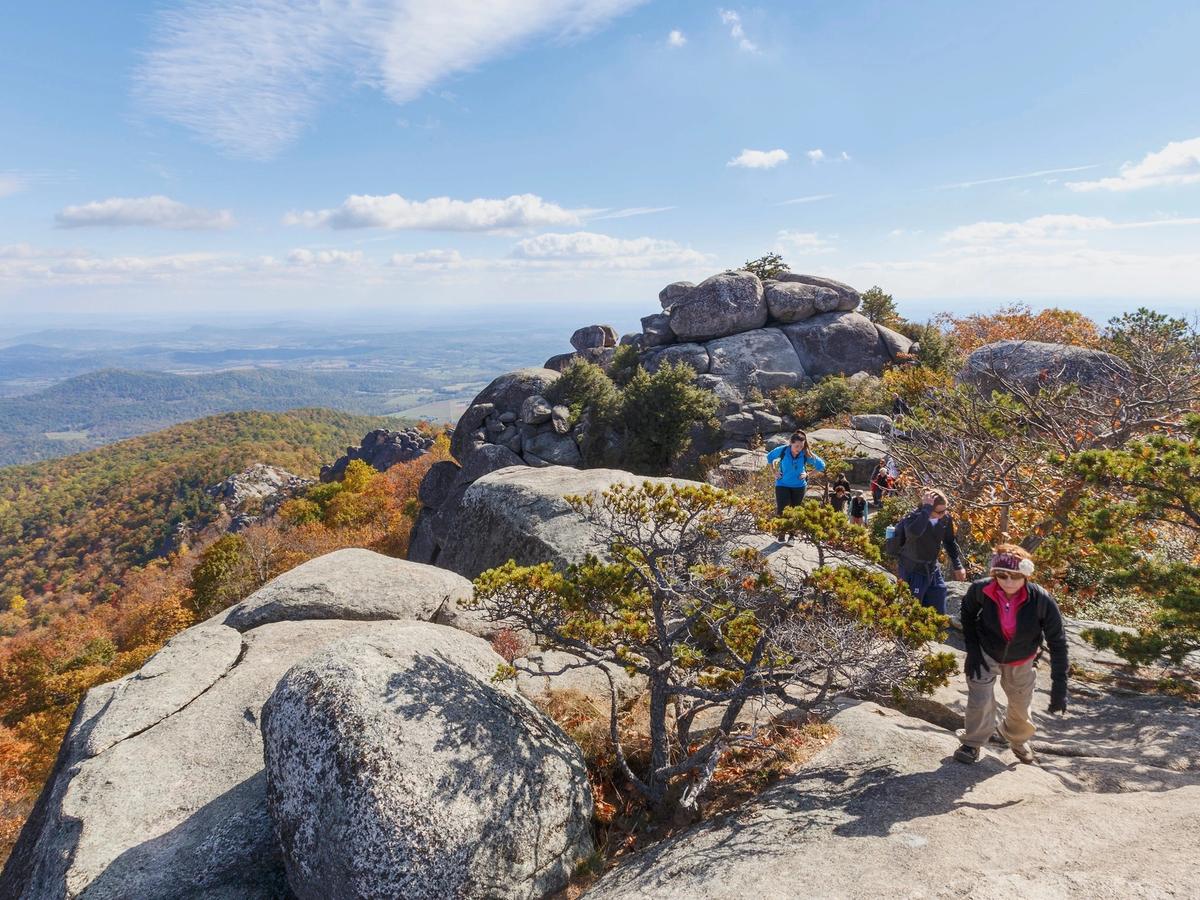 Hikers make their way across granite rock formations near a summit in Shenandoah National Park, with sweeping views of fall foliage and the Shenandoah Valley spreading out far below. Twisted pine trees and rust-colored autumn leaves frame the rocky ridgeline trail.