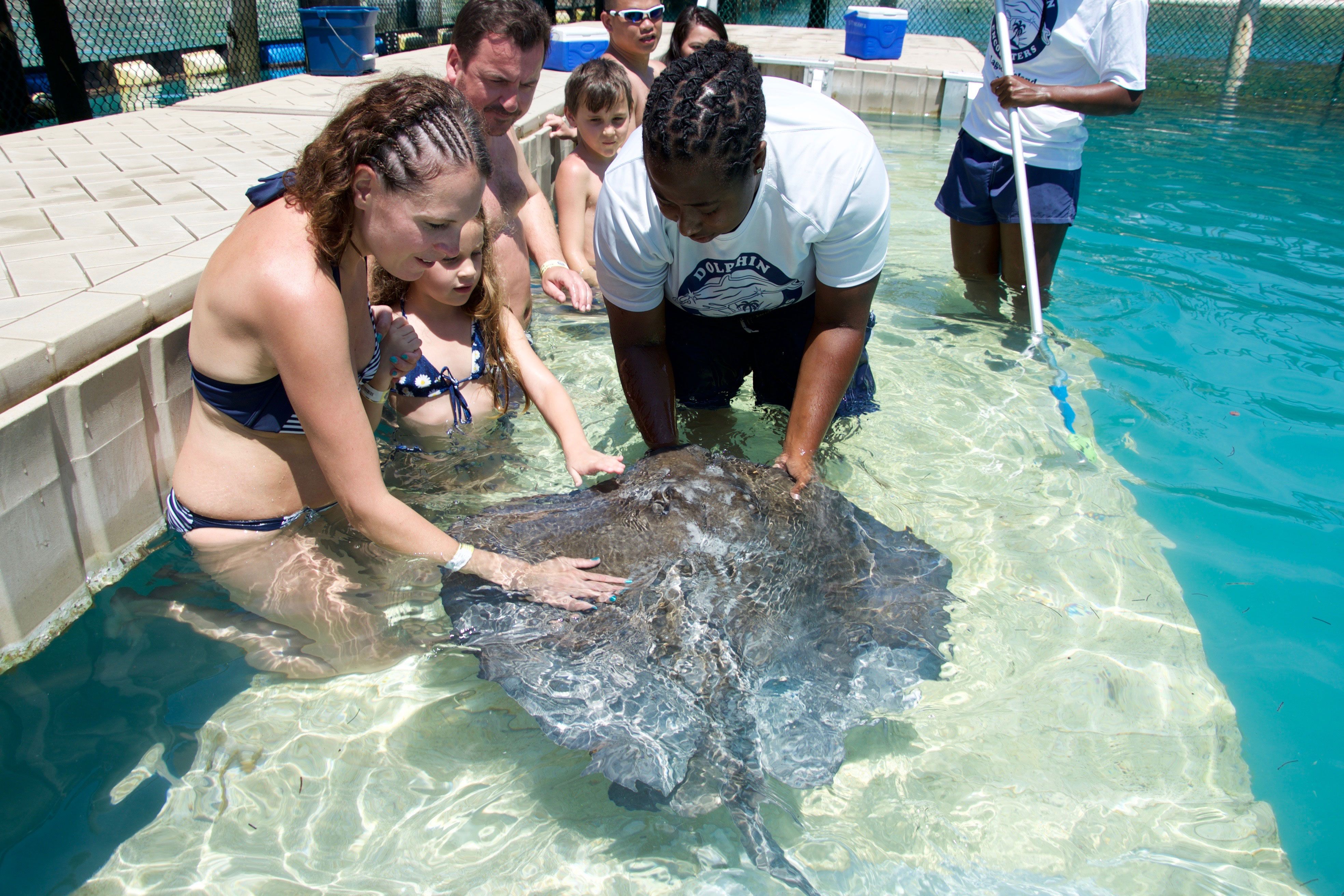 A family stands in shallow turquoise water as they gently touch a stingray under the guidance of a marine expert. The moment captures wonder, connection, and respect for marine life.