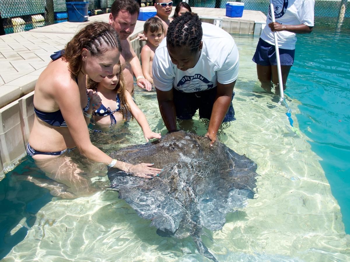 A family stands in shallow turquoise water as they gently touch a stingray under the guidance of a marine expert. The moment captures wonder, connection, and respect for marine life.