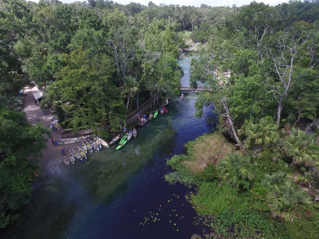 Kayaks line the banks of a calm coastal dune lake surrounded by lush greenery and tall trees. This peaceful Florida waterway is ideal for paddling, exploring nature, and enjoying the quiet beauty of the forest.