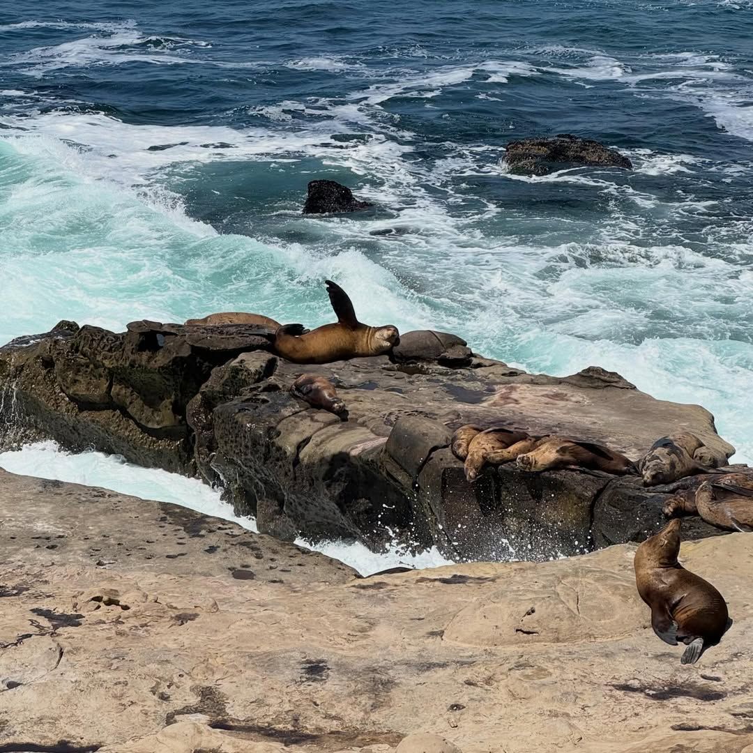 This San Diego beach scene is a good reminder to stay near lifeguards, watch ocean conditions, and follow basic beach safety tips.