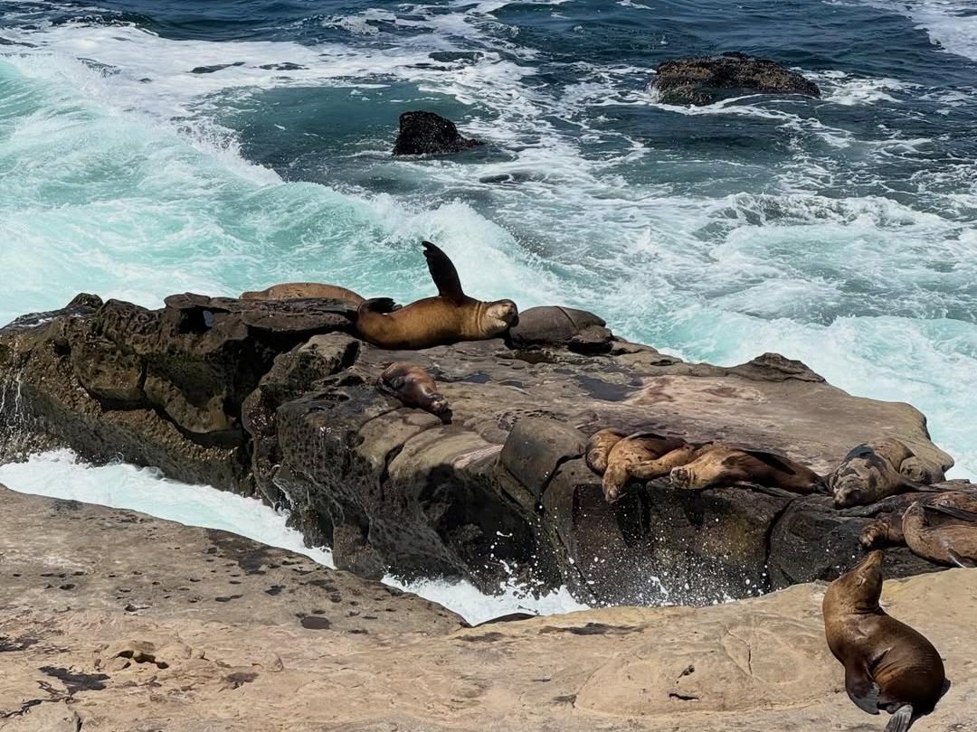 This San Diego beach scene is a good reminder to stay near lifeguards, watch ocean conditions, and follow basic beach safety tips.