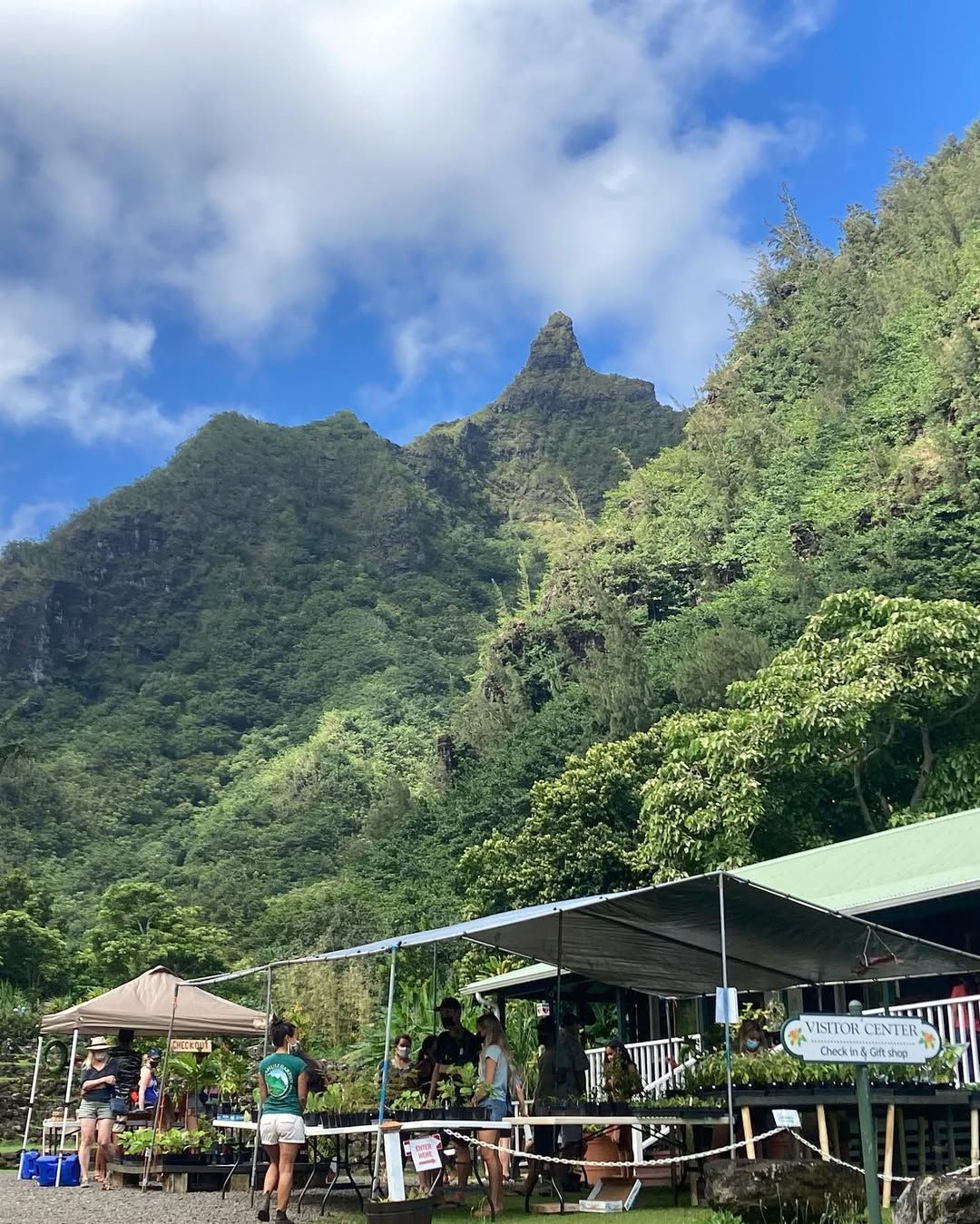 Visitors explore the outdoor visitor center and plant nursery at Limahuli Garden and Preserve on Kauai's North Shore, backdropped by dramatic jagged green peaks rising into a blue sky.