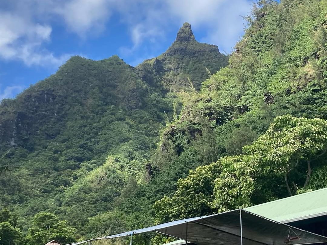 Visitors explore the outdoor visitor center and plant nursery at Limahuli Garden and Preserve on Kauai's North Shore, backdropped by dramatic jagged green peaks rising into a blue sky.
