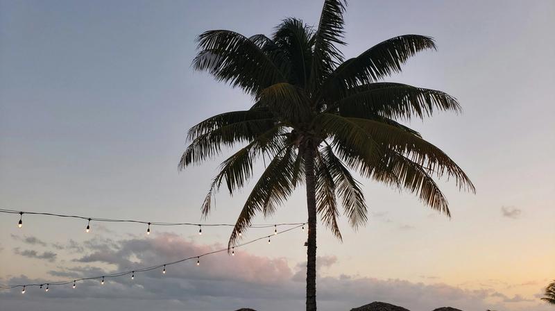 A Short Guide to the Hottest Nightlife in the Bahamas