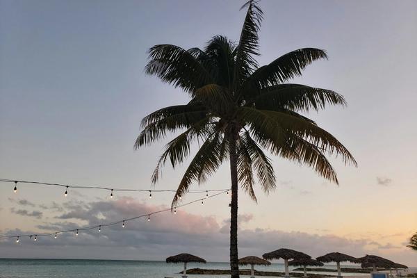 A Short Guide to the Hottest Nightlife in the Bahamas