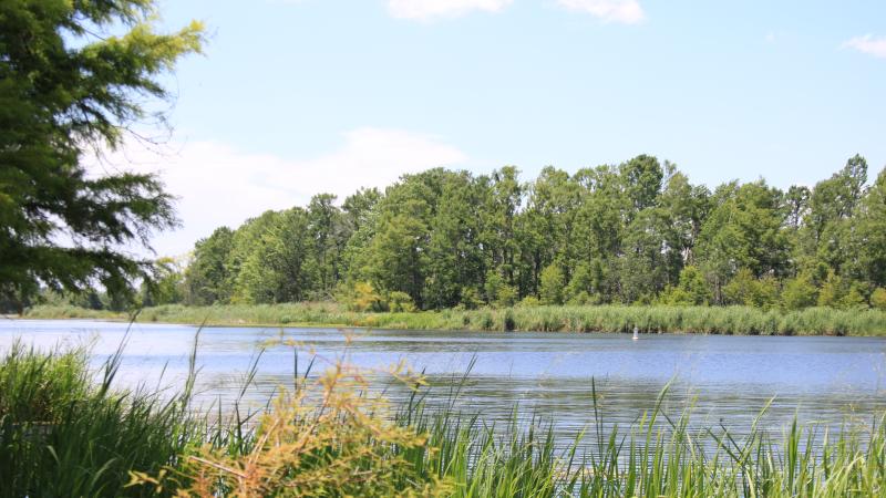 A quiet boardwalk and pavilion overlook the water at Big Lagoon State Park, a nature lover’s paradise with trails, kayaking, and birdwatching.