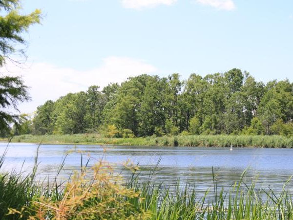 A quiet boardwalk and pavilion overlook the water at Big Lagoon State Park, a nature lover’s paradise with trails, kayaking, and birdwatching.