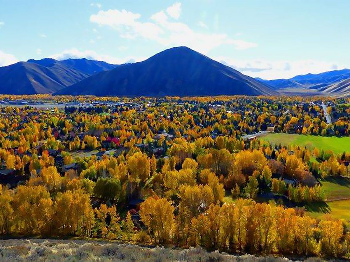 Aerial View Of Hailey Idaho in the Fall