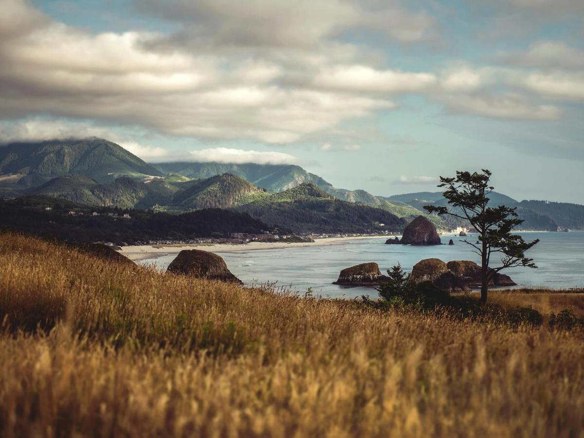 Golden fields lead down to the Pacific Ocean at Cannon Beach, Oregon, with Haystack Rock and surrounding sea stacks in the distance. The dramatic mountain backdrop makes this a classic Northwest view.