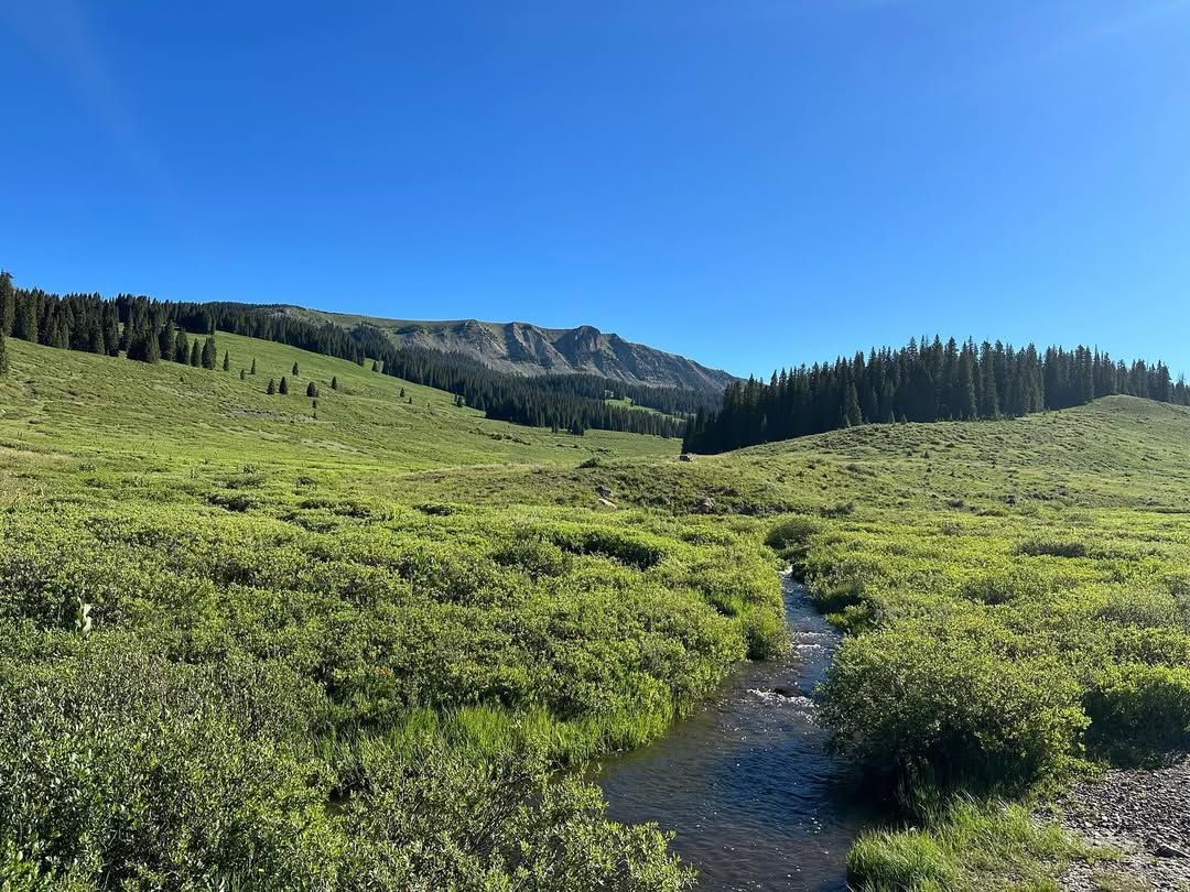 A peaceful stream winds through a lush green valley surrounded by rolling hills and pine trees. The distant mountain peaks fade into the mist, giving the scene a calm and refreshing alpine feel.