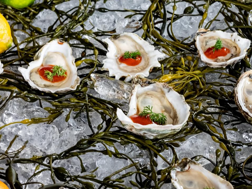 Oysters on ice and vines with red sauce and green herb on top