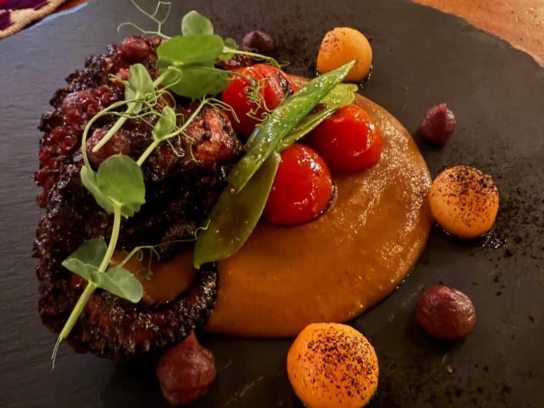 A vibrant plate of grilled octopus is paired with roasted vegetables and a rich, earthy sauce at Metate, celebrating traditional Mexican flavors with a modern twist. The presentation is as beautiful as it is flavorful, showcasing the artistry of Cabo’s culinary scene.