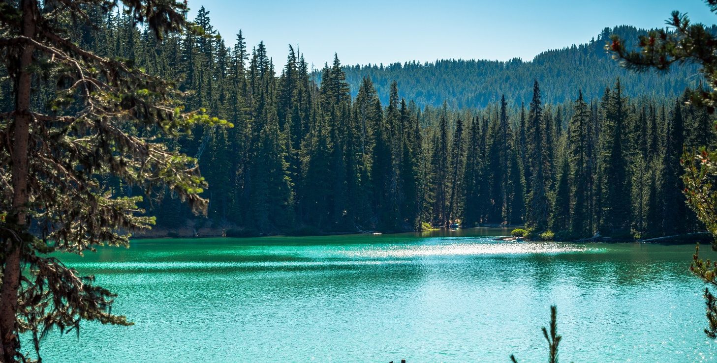 View of lake Near Bend Oregon