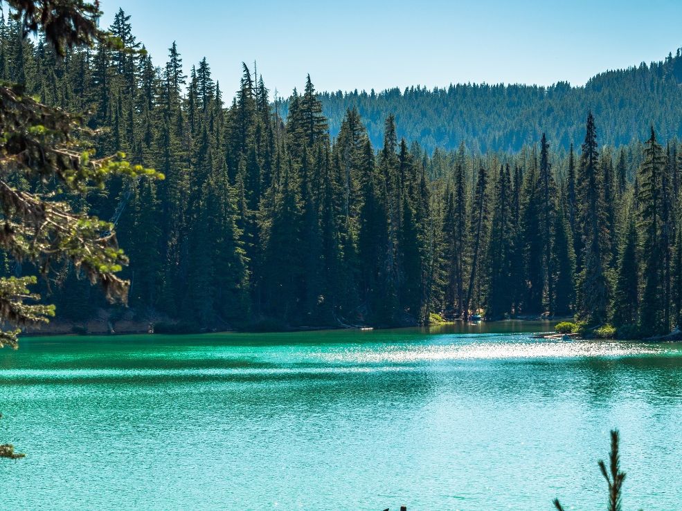 View of lake Near Bend Oregon