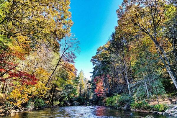 10 Cabins with Hot Tubs Near Suches, GA