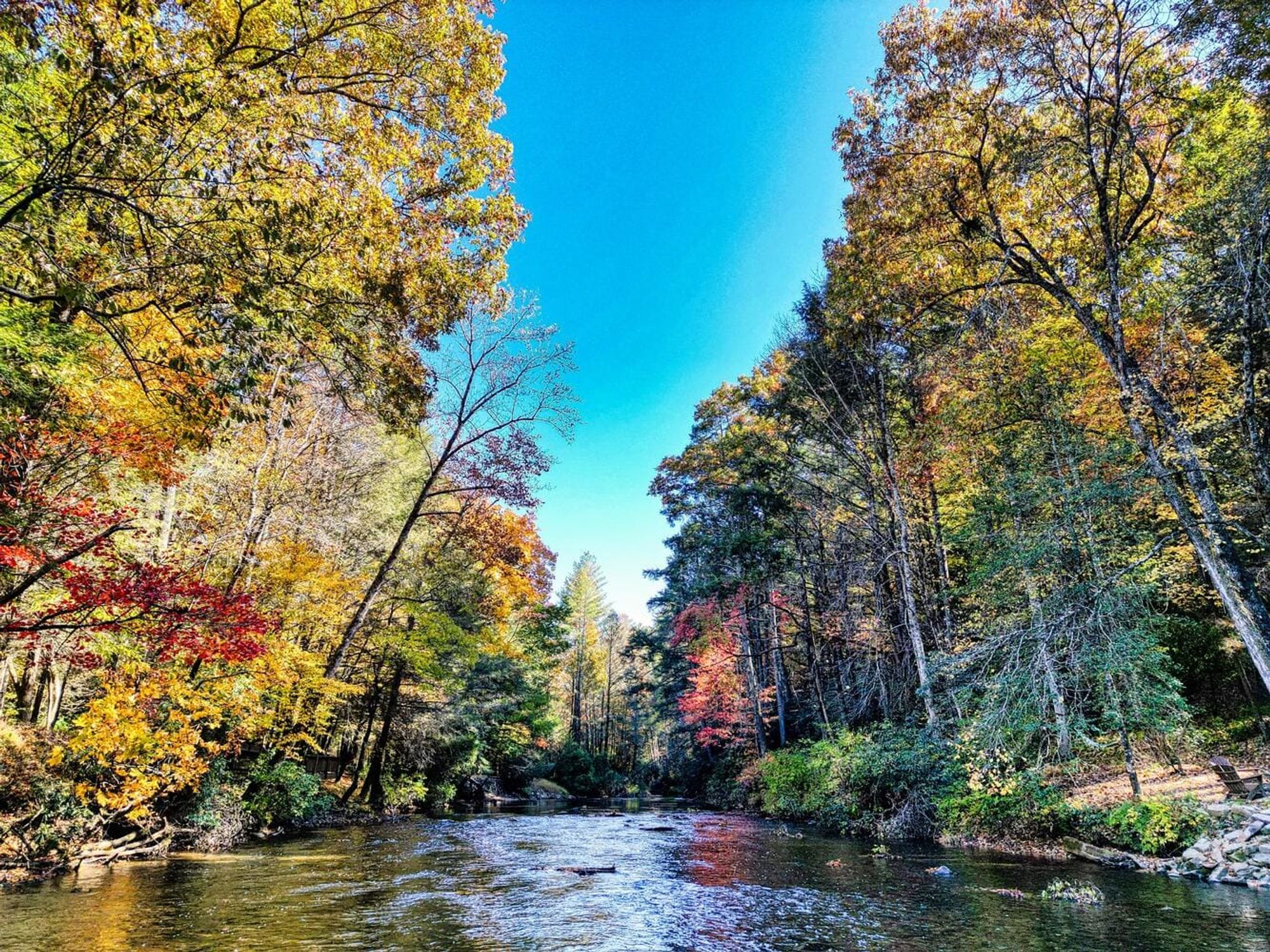 A quiet river flows through a forest near Suches, Georgia, surrounded by tall trees and natural greenery. This peaceful mountain setting is ideal for cabin getaways with hot tubs and cozy views of the woods.
